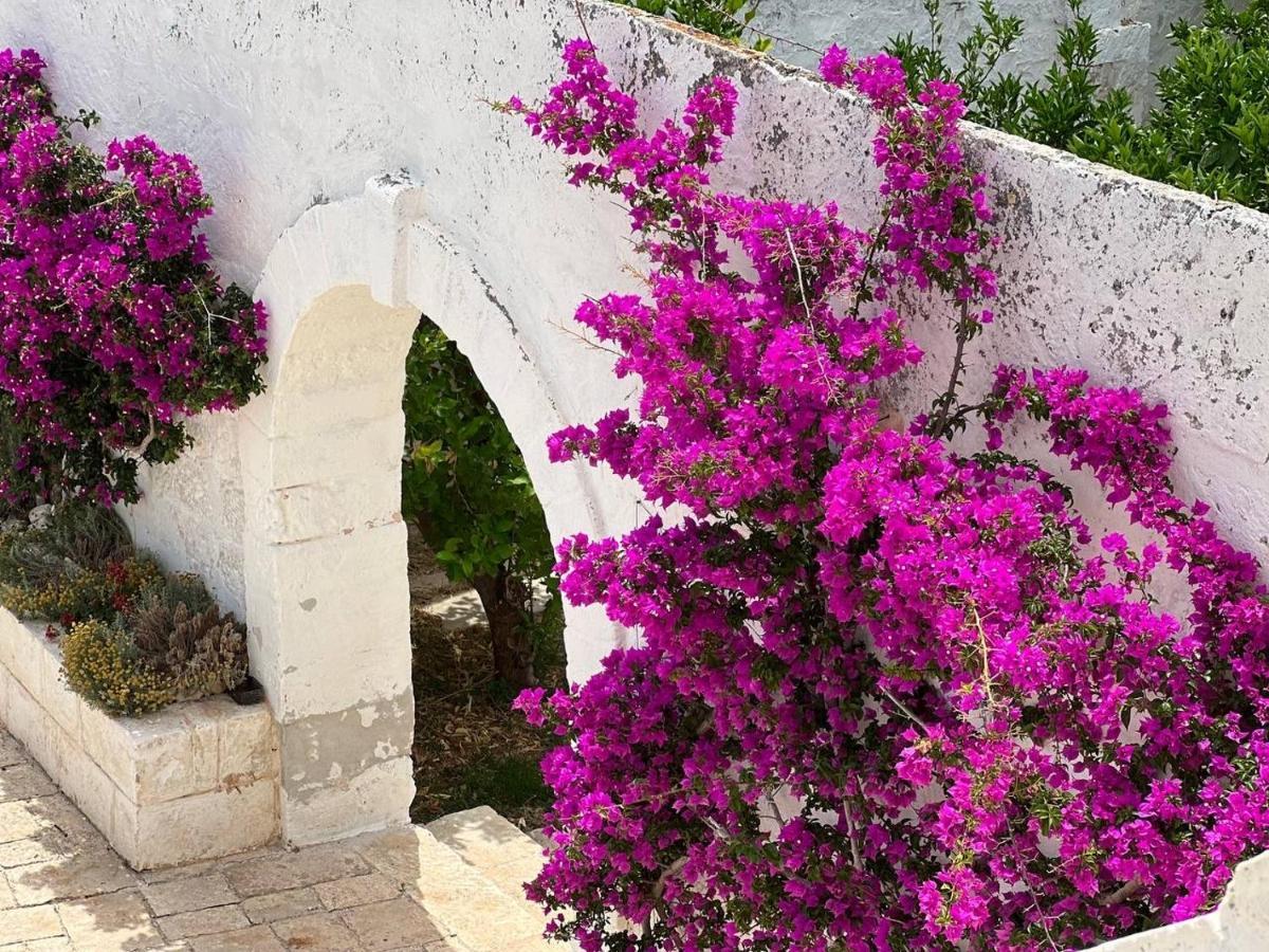 Masseria Piccole Taverne 로사 마리나 외부 사진