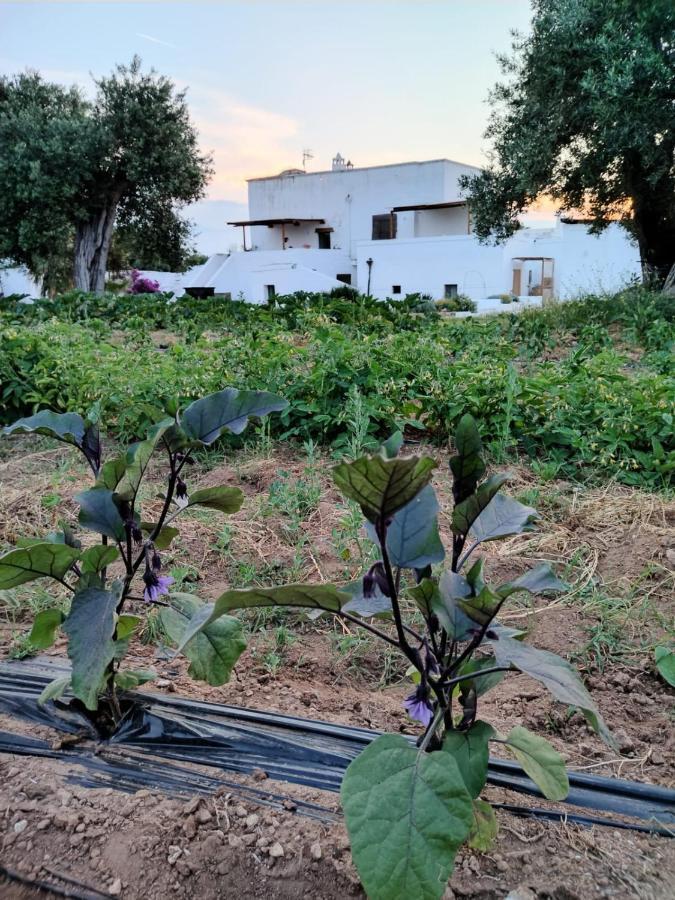 Masseria Piccole Taverne 로사 마리나 외부 사진