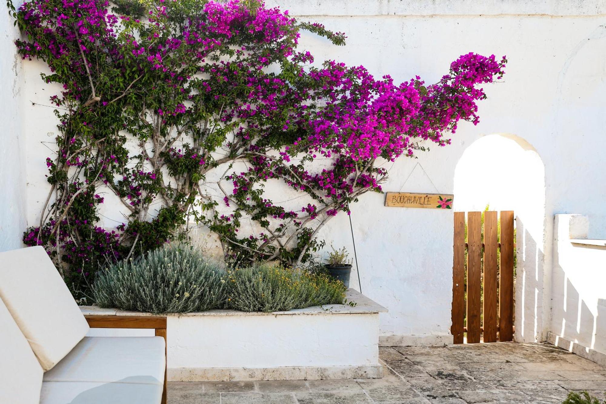 Masseria Piccole Taverne 로사 마리나 외부 사진